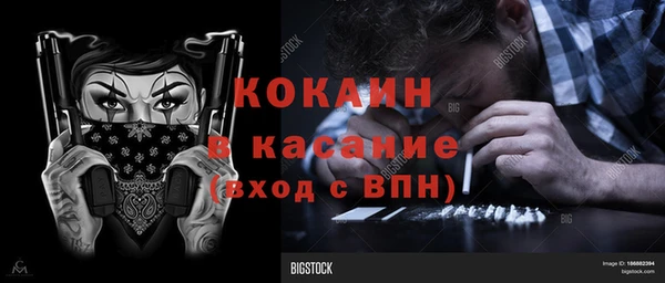 сатива Балахна