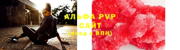 сатива Балахна