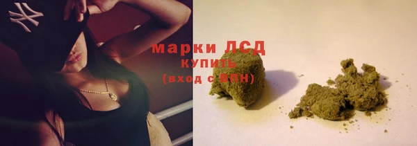 ГАЛЛЮЦИНОГЕННЫЕ ГРИБЫ Баксан
