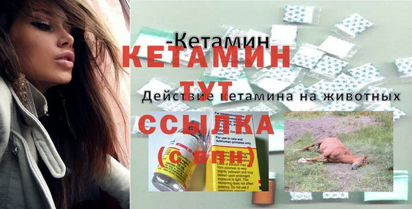 сатива Балахна