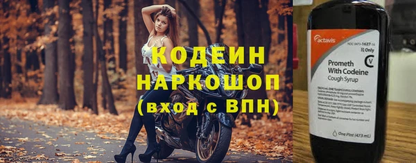 ГАЛЛЮЦИНОГЕННЫЕ ГРИБЫ Баксан