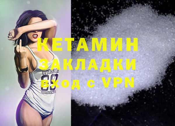 сатива Балахна
