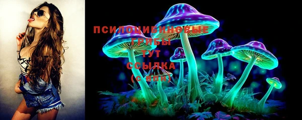 ГАЛЛЮЦИНОГЕННЫЕ ГРИБЫ Баксан