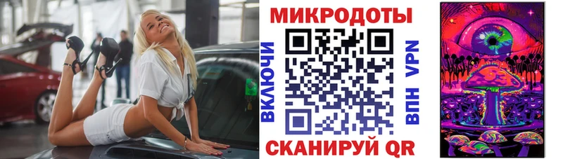 Галлюциногенные грибы Psilocybe Прохладный